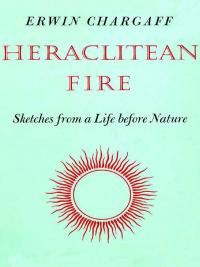 Heraclitean Fire